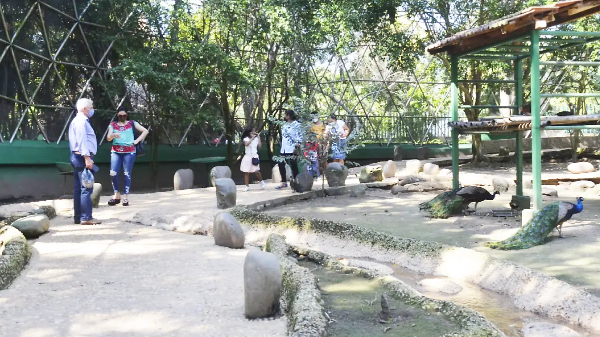 Aviario Parque Museo La Venta